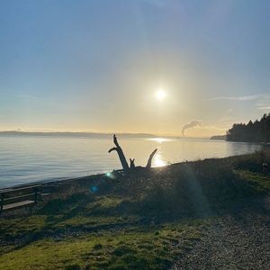 Meet your Posher, Sadie